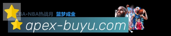 奖项4